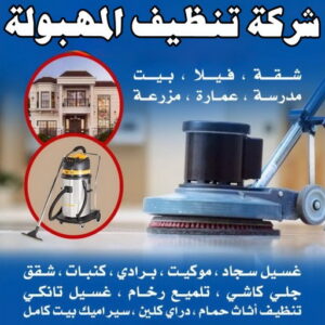 شركة تنظيف المهبولة