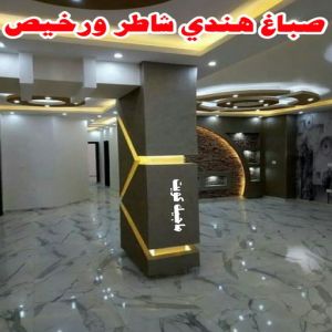 صباغ هندي شاطر ورخيص